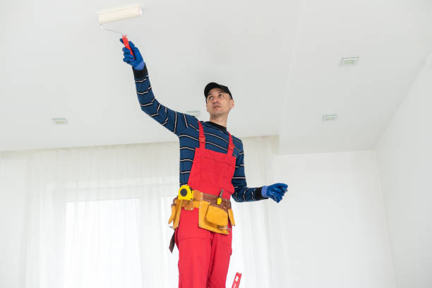 Best Environmental Consulting for Mold Prevention  in Eustis, FL