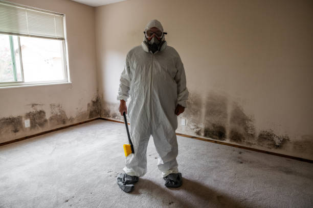 Best Industrial Mold Remediation  in Eustis, FL